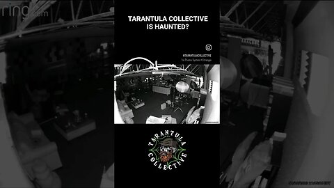 Something is HAUNTING the Tarantula Collective!