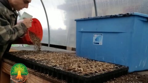 LIVE Planting Seeds: Paper Pot, Micro Greens, Winstrip Trays