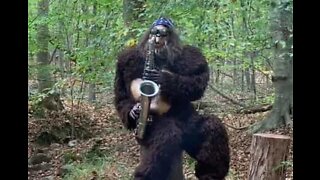 Bigfoot spotted playing saxophone