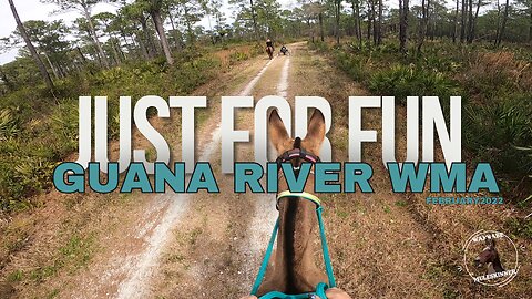 Endurance Mule- Guana River WMA 2022