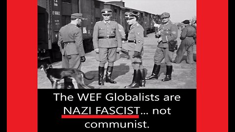The Globalist WEF Regime are NAZIS... not Communist.