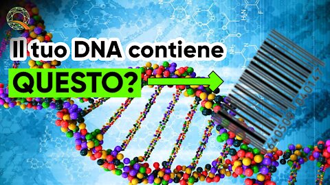 🧬 Il nostro DNA potrebbe contenere QUESTO?