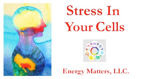 Stress In Your Cells