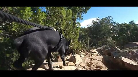 Hiked Carlitos Trail in Tijeras , New Mexico