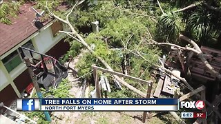 Tree falls on Fort Myers home