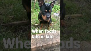 When food is late #shorts #short #viral #trending #subscribe