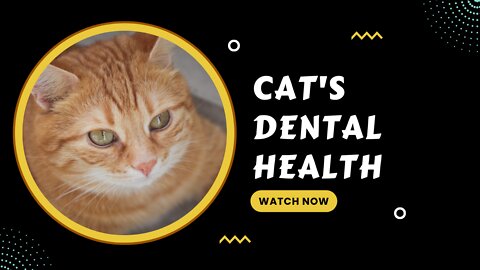 CAT'S DENTAL HEALTH.