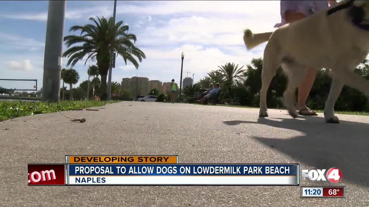 Proposal to allow dogs on Lowdermilk Park Beach