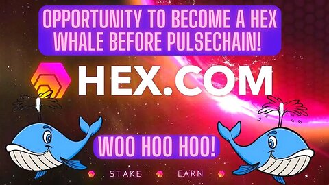 Opportunity To Become A HEX Whale Before PULSECHAIN! WOO HOO HOO!