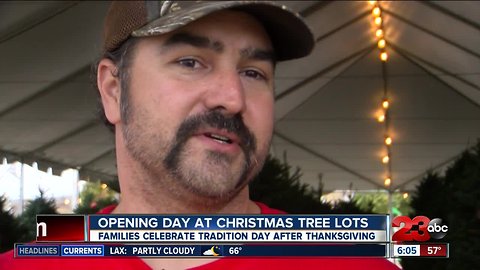 Families full of holiday spirit picking out Christmas trees today
