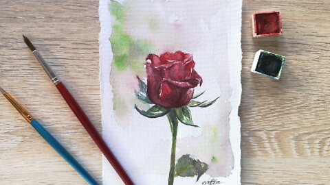 Painting A Watercolor Rose// Episode 07