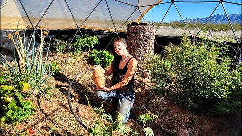 Using Clay Pots For A Gravity Fed Irrigation System (Full Installation)