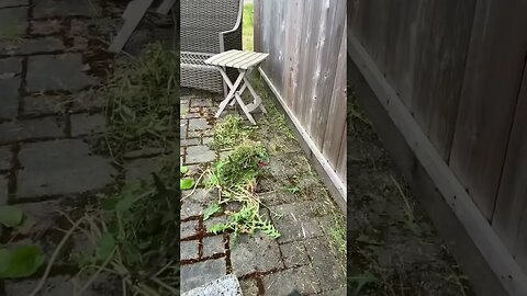 How to clean a Patio