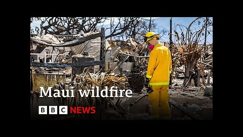 Maui wildfire: More than a thousand still missing after Hawaii wildfire - BBC News
