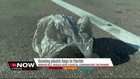 This city could be the 1st in Florida to ban plastic bags