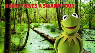 Kermit Gives a Tour of the Swamp