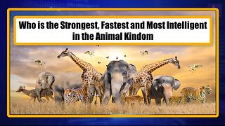 Who is the Strongest, Fastest and Most Intelligent in the Animal Kindom