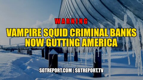 WARNING: VAMPIRE SQUID CRIMINAL BANKS NOW GUTTING AMERICA