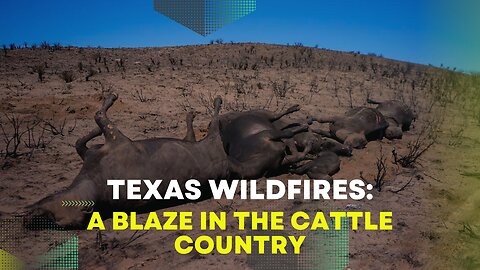 Texas Wildfires: A Blaze in the Cattle Country