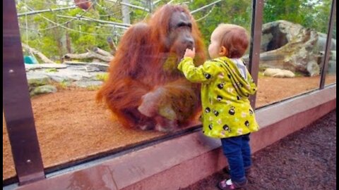 First time Babies At The Zoo