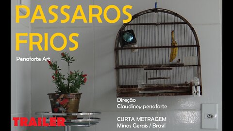 PASSAROS FRIOS | Curta Metragem Trailer 01