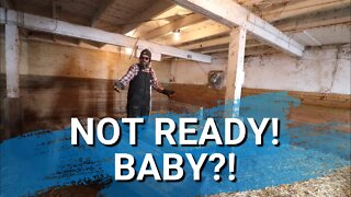 Are We About To Have A Baby? | We Need To Get The Barn Ready!