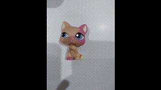 LPS COLLECTION