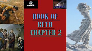 Book-of-Ruth-Bible-Study-Chapter-2