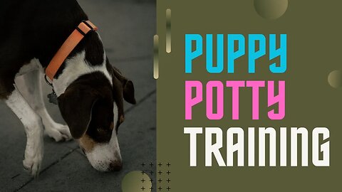 Puppy Potty Training