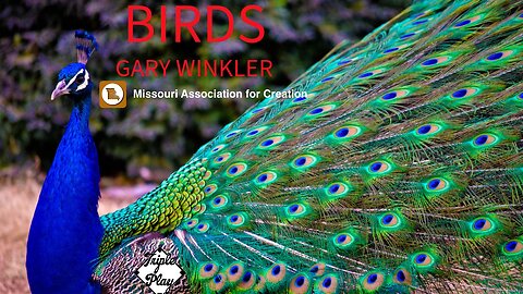 GARY WINKLER BIRDS