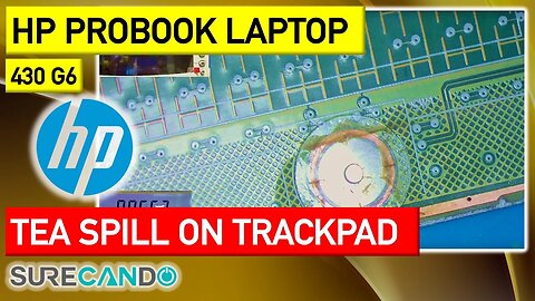Tea Trouble_ HP ProBook 430 G6 Trackpad Fix after Tea Spill