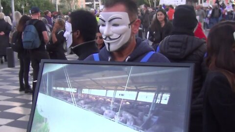 Anonymous Vegans à Nice : le choc des images !