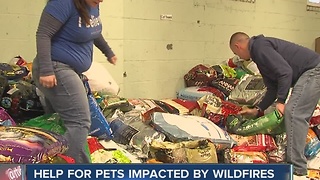 IndyHumane helping pets impacted by wildfires in Tennessee