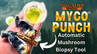 Myco Punch™️ Easiest Fastest way to transfer tissue to agar! At The Push Of a Button!