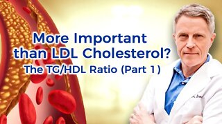 More Important than LDL Cholesterol? The TG/HDL Ratio (Part 1)
