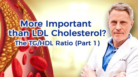 More Important than LDL Cholesterol? The TG/HDL Ratio (Part 1)