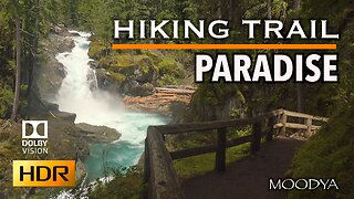 4K HDR Nature Exploring - Hiking Trail Paradise Overlooking Silver Falls - Heartful Wonderment