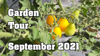 Garden Tour: September 2021