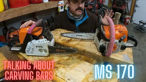 Stihl MS 170 Carving Bars - Thoughts on STIHL and CANNON brand.