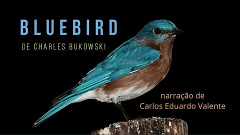 AUDIOBOOK - BLUEBIRD - de Charles Bukowski