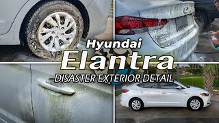 DISASTER Hyundai Elantra | There is PAINT under all of that Dirt, I Swear. Disaster Exterior Detail!
