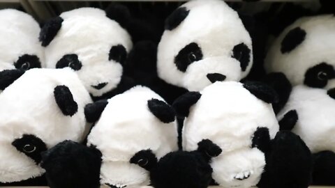 Panda Bear Stuffed Plush Toy Background In Supermarket