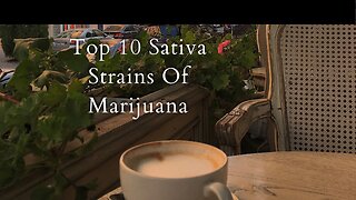 Top 10 Sativa Strains Of Marijuana