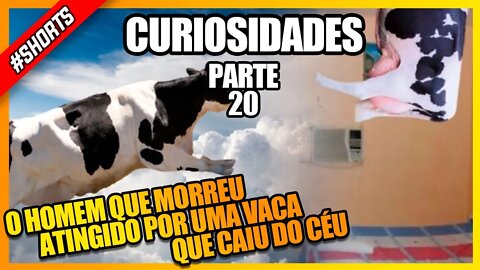 CHUVA DE GADO: O HOMEM QUE MORREU ATINGIDO POR UMA VACA QUE CAIU DO CÉU #shorts #historia #vaca