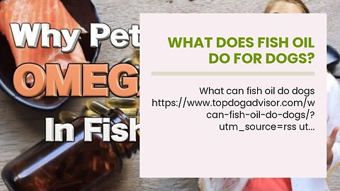 What does fish oil do for dogs?