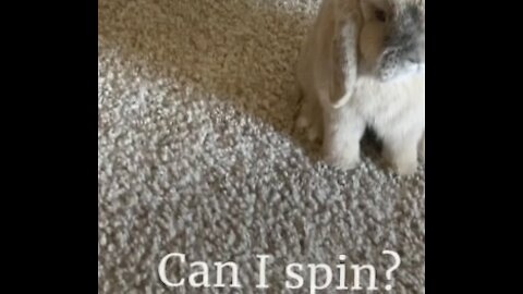 Bunny Spin Trick