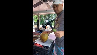 Coconut skills