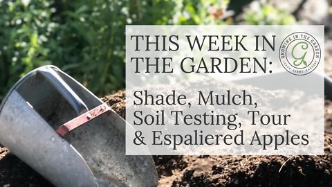 THIS WEEK IN THE GARDEN: Shade, Mulch, Soil Testing, Garden Tour & Espaliered Apples