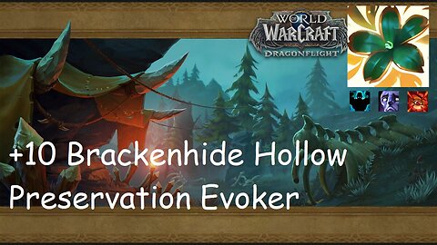 +10 Brackenhide Hollow | Preservation Evoker | Fortified | Afflicted | Raging | #166