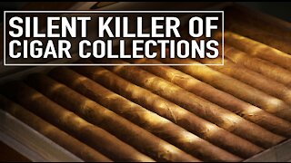 The Silent Killer of Cigar Collections